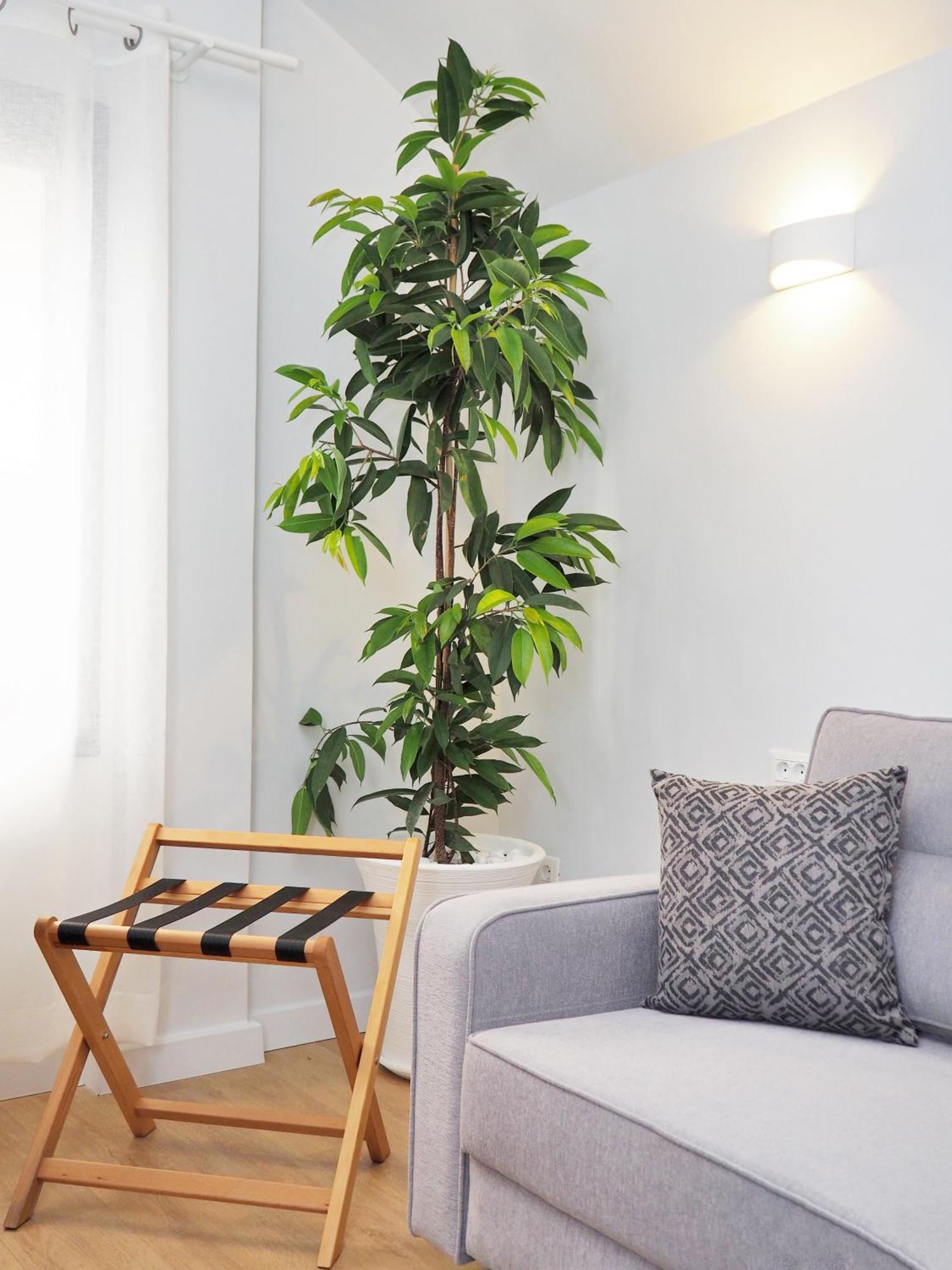 Times Elegant Rooms Ермополи Екстериор снимка